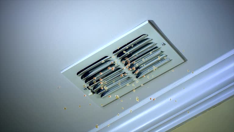 Best Air Duct Cleaning Near Me  in Westmere, NY