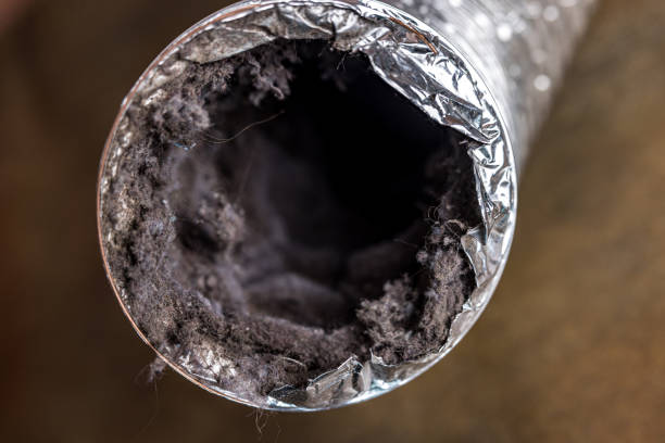 Best Professional Duct Cleaning Services  in Westmere, NY