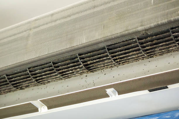 Best Best Air Duct Cleaning Company  in Westmere, NY
